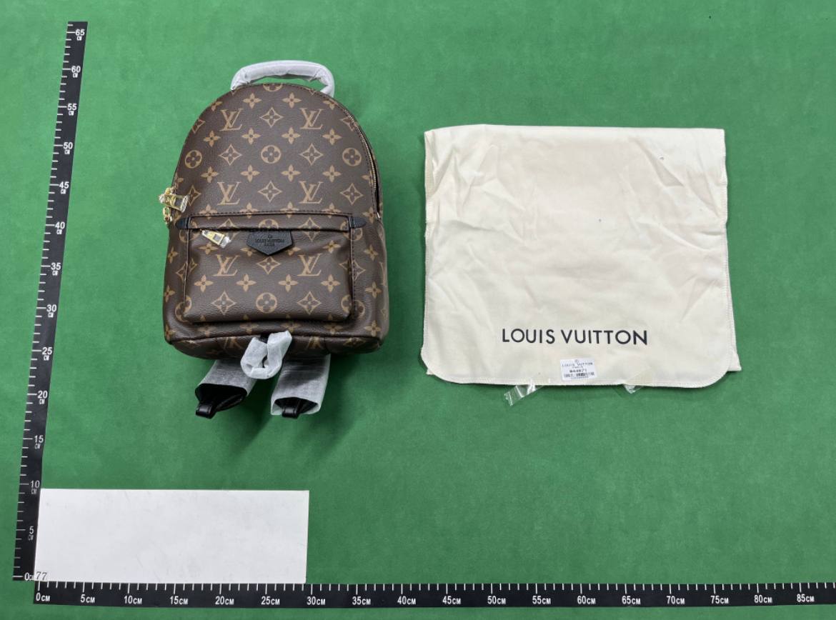 Dior Gucci Backpack - 3